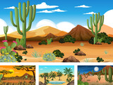 Different scenes with desert forest landscape with various desert plants