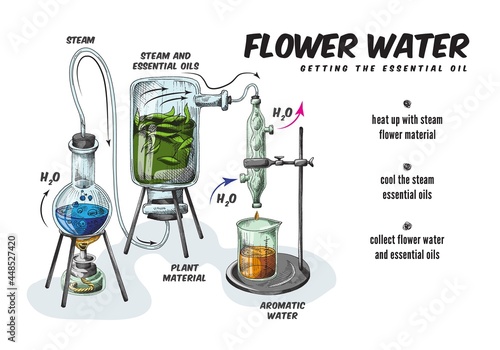 Process production of essential aromatic oil and flower water in chemistry lab