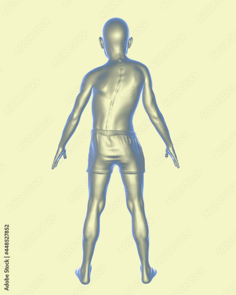Scoliosis, 3D illustration. A human body with curved spine, uneven shoulders and hips Scoliosis, 3D illustration. A human body with curved spine, uneven shoulders and hips