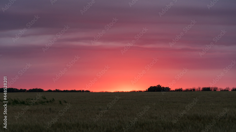 Beautiful sunset over the field. Blagoveshenskaya, Russia.