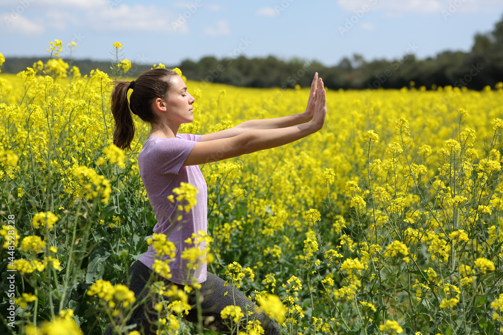 Profile of a woman doing tai chi exercise in a field Profile of a woman doing tai chi exercise in a field