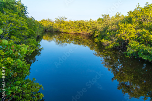 View of the channel among thickets of swamps in Pelican Island National Wildlife Refuge, Florida. Beautiful Place for seeing native bird habitats, hiking trails and tours