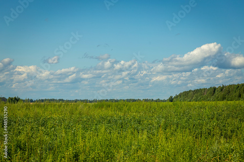 Green grass field and blue sky with beautiful clouds