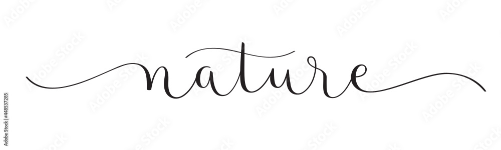 NATURE black vector brush calligraphy banner with swashes on white background NATURE black vector brush calligraphy banner with swashes on white background