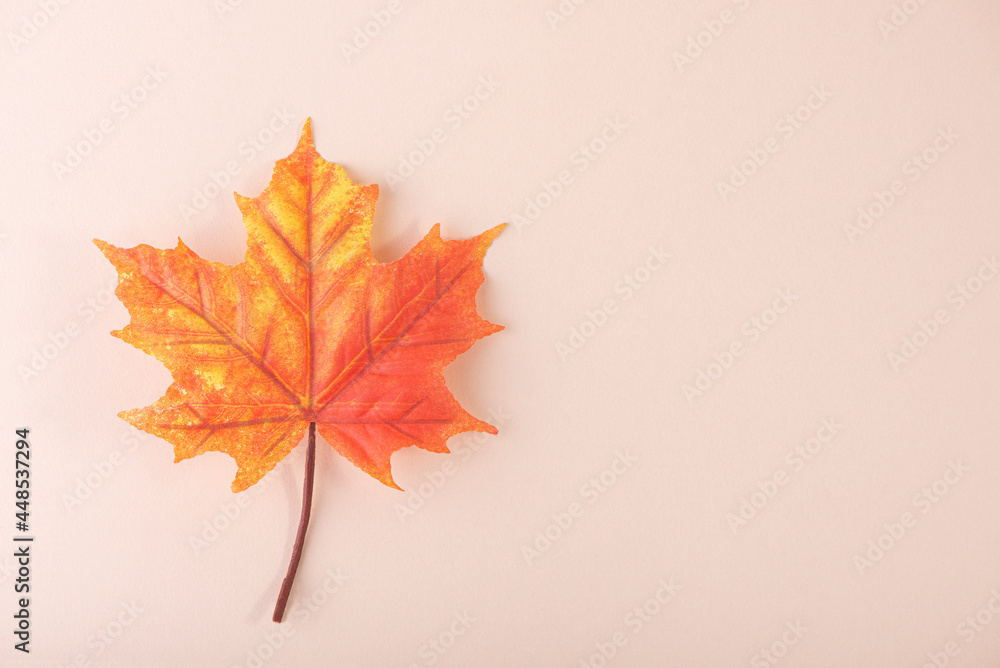 autumn leaves on beige background autumn leaves on beige background