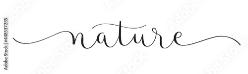NATURE black vector brush calligraphy banner with swashes on white background