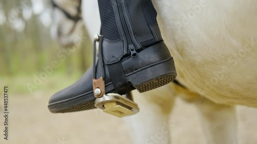 Back view, close up of horsewoman leg in jockey boot at stirrup on white horse, woman jockey gets her boots on before going Dressage horse riding. Morning forest landscape. photo