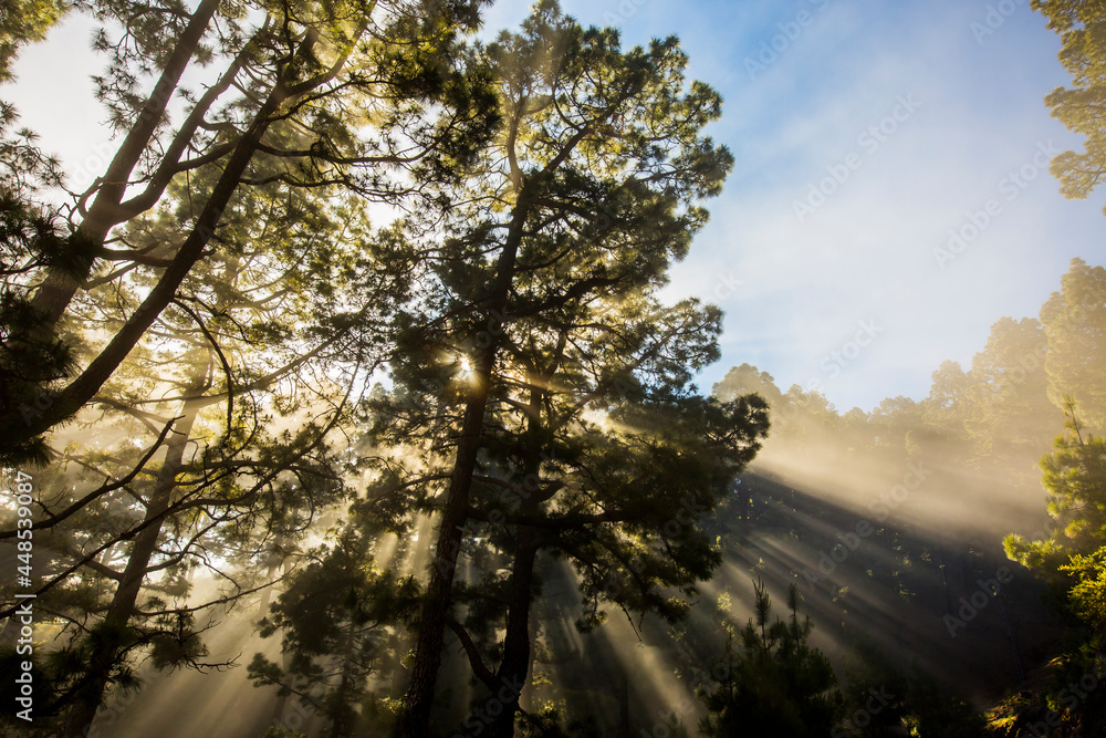 Naklejka premium Spring sunset in Caldera De Taburiente Nature Park, La Palma Island, Canary Islands, Spain