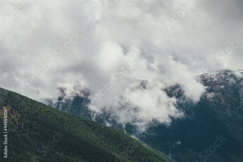 Awesome alpine view to large forest mountain with snow-covered top in gray low clouds in overcast weather. Atmospheric landscape with beautiful mountain ridge with snow on forest top in rain clouds. © Daniil