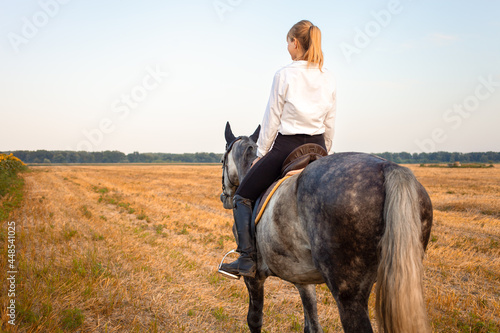 woman riding a gray horse in a field at sunset. horseback riding, rental, beautiful background, cottage. Friendship and love of people and animal. Pet. equestrian sport. wheat and sunflowers