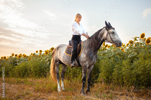 woman riding a gray horse in a field at sunset. walking, horseback riding, rental. Beautiful background, nature outdoor. equestrian sport training. Copy space. dressage