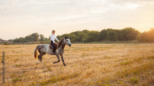 woman rides a field on horseback at sunset. Sports training, equestrian, walking, rental and sale of horses, ranch, ammunition. Beautiful background. love and friendship to the animal, care. Trotting © Valeriia
