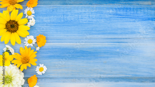 Bright blue wooden background with yellow and white flowers