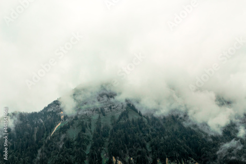 Trees on a hillside in fog and clouds in Entremont, Haute-Savoie, France
