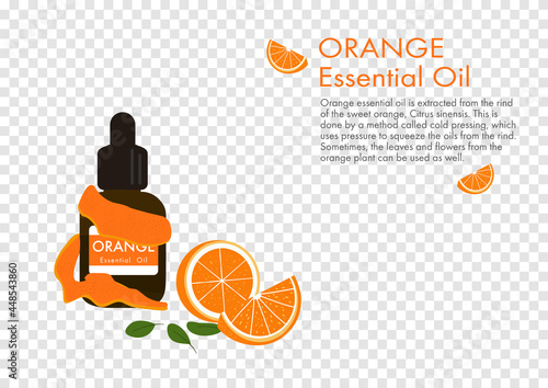 orange essential oil with peel, herb vector isolated on transparency background ep02