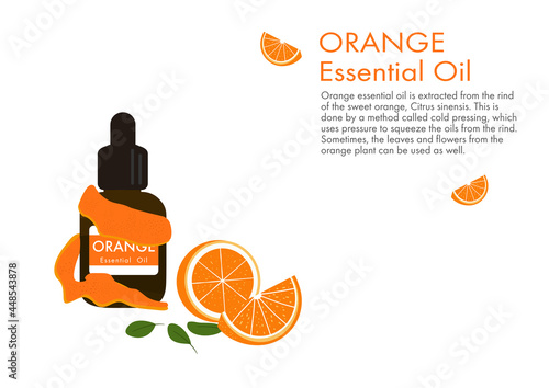 orange essential oil with peel, herb vector isolated on white background ep02