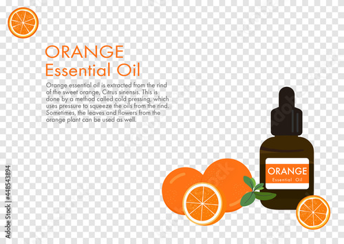orange essential oil, herb vector isolated on transparency background ep01