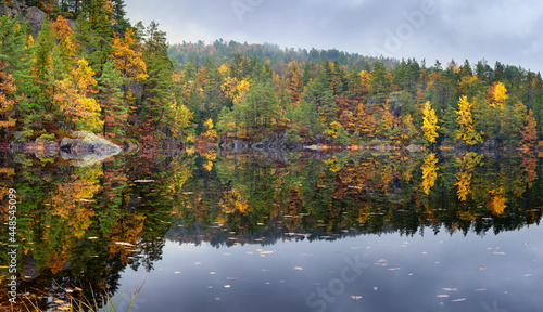 Forest lake panorama with Autumn foliage and reflection in a rainy cloudy day . Blurred background. Tokke lake ,Norway