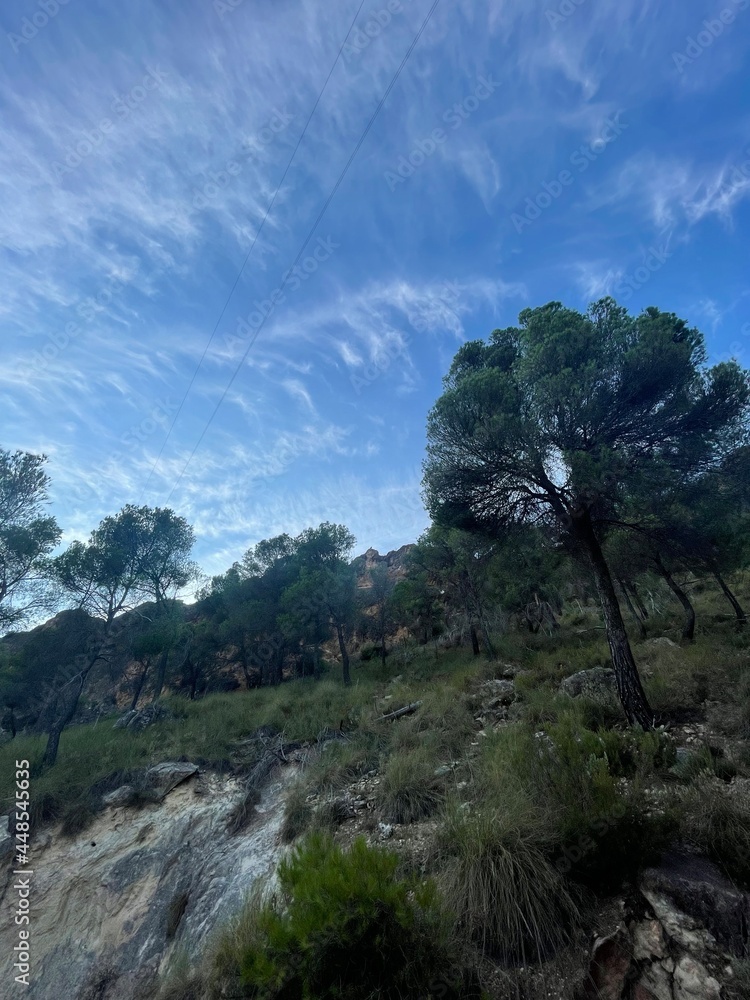 Obraz premium Nature climbing psyconlock cuenca