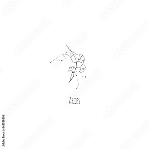 Hand drawing Aries constellation symbol with floral branch and stars. Modern minimalist mystical astrology aesthetic illustration with zodiac signs