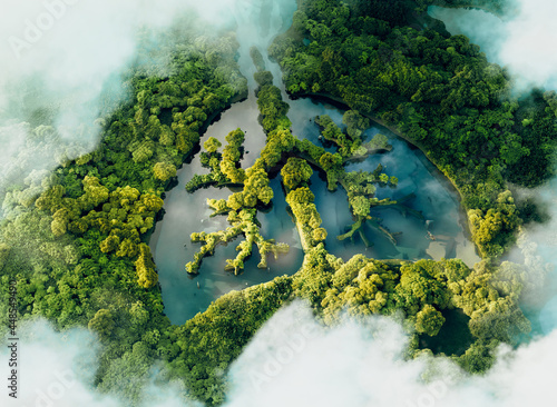 A conceptual image showing a lung-shaped lake in a lush and pristine jungle. 3d rendering. photo