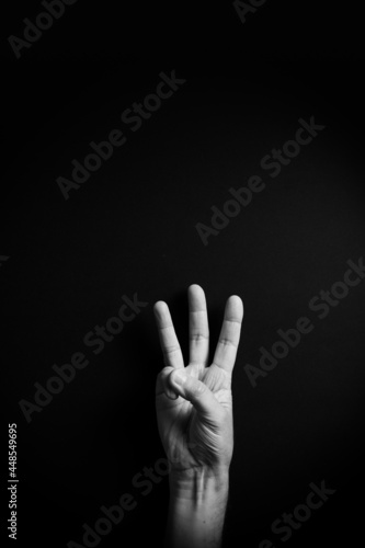 B&W image of hand demonstrating ASL sign language letter W with empty copy space