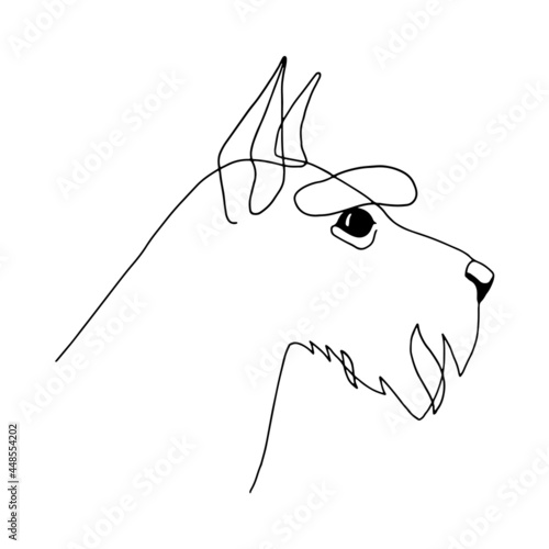 Isolated vector portrait of a schnauzer dog, line art style