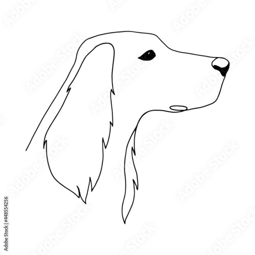 Isolated vector portrait of a setter dog, line art style