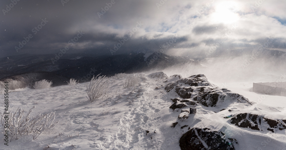 Winter storm at the top of Polonina Wetlinska, view of the winter Bieszczady Mountains, Bieszczady Mountains, Carpathians