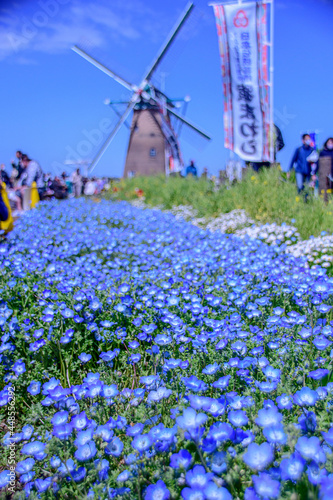 windmill and flowers