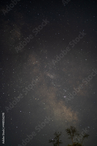 starry night sky © 小川明人