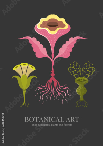 Floral illustration with imaginary flowers and plants. Botanical art, black backgound