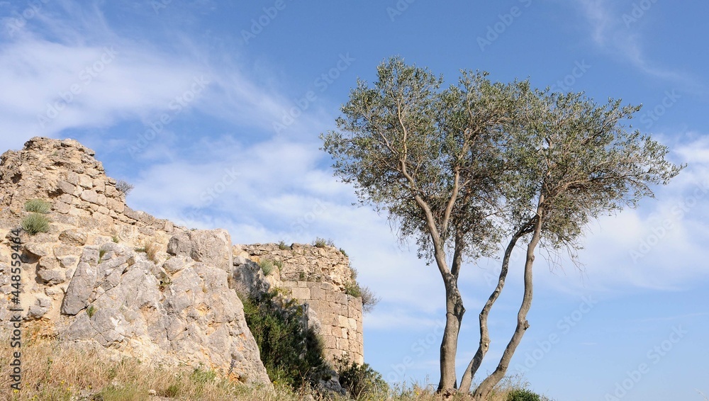 Château d'Aguilar près du village de Tuchan dans l'Aude en Roussillon Occitanie France	