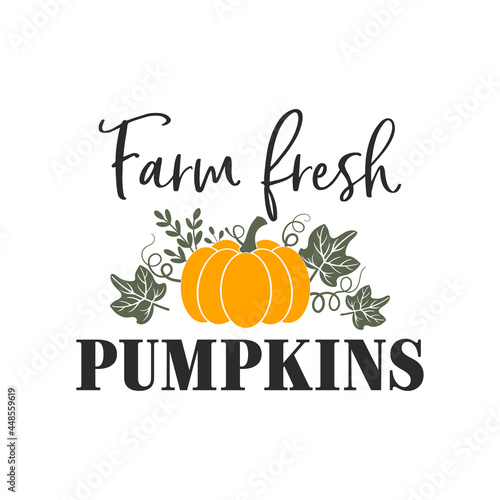 Farm fresh Pumpkins motivational slogan inscription. Vector Thanksgiving quotes. Illustration for prints on t-shirts and bags, posters, cards. Fall phrase. Isolated on white background.