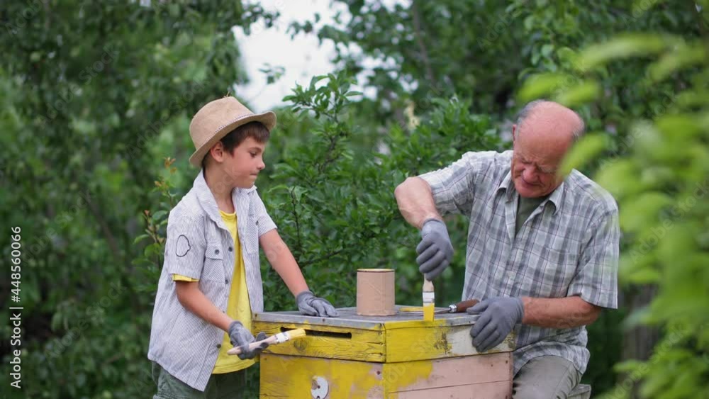 beekeeping, friendly grandson and grandfather paint beehive together in garden on warm afternoon during rural vacation beekeeping, friendly grandson and grandfather paint beehive together in garden on warm afternoon during rural vacation