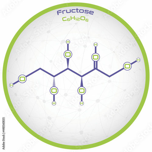 Large and detailed infographic of the molecule of Fructose