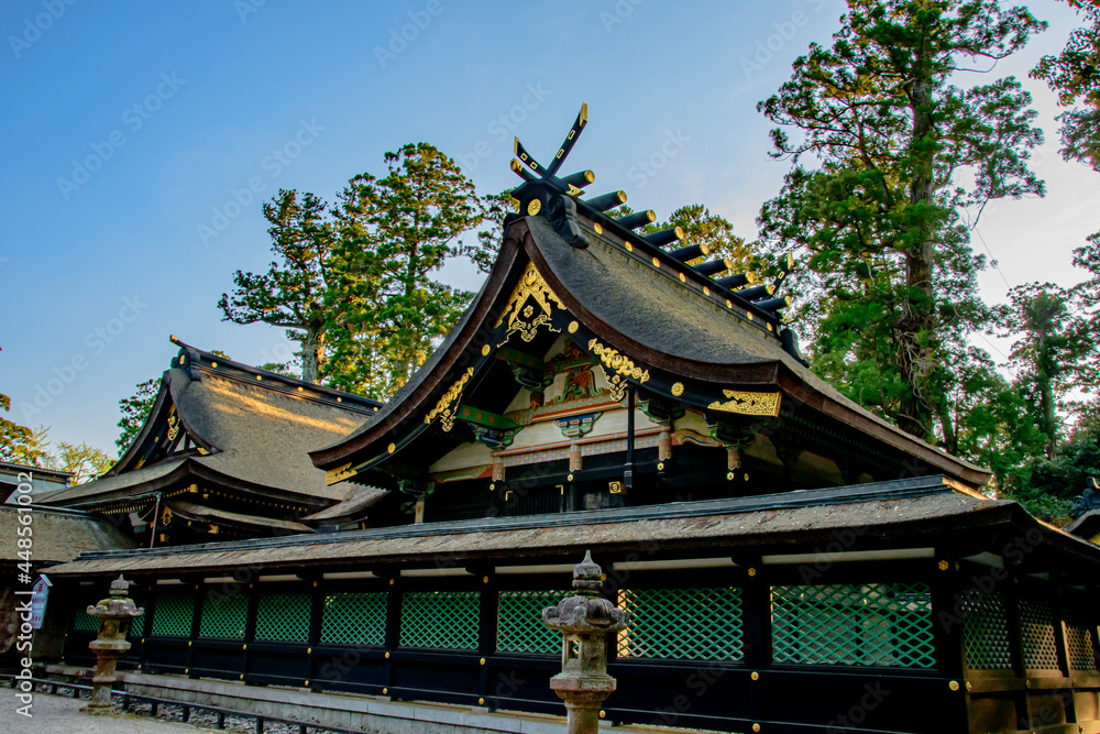 Fototapeta premium chinese temple
