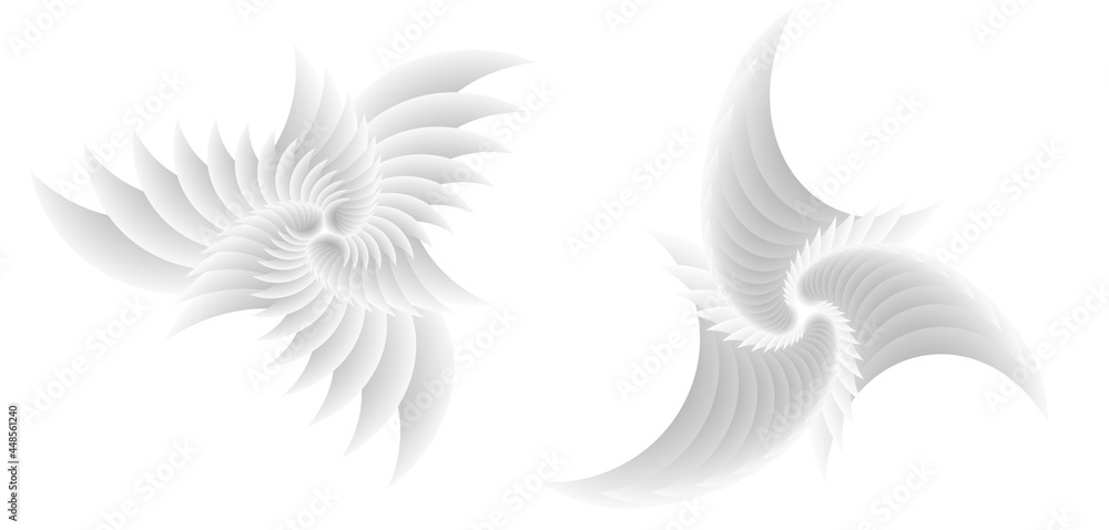 Abstract spiral tor design element on white background of twist lines. Vector Illustration eps 10 for icon beauty salon, for elegant business card, background event party flyer, sea team, ocean shell Abstract spiral tor design element on white background of twist lines. Vector Illustration eps 10 for icon beauty salon, for elegant business card, background event party flyer, sea team, ocean shell