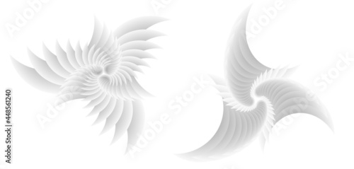 Abstract spiral tor design element on white background of twist lines. Vector Illustration eps 10 for icon beauty salon, for elegant business card,  background event party flyer, sea team, ocean shell