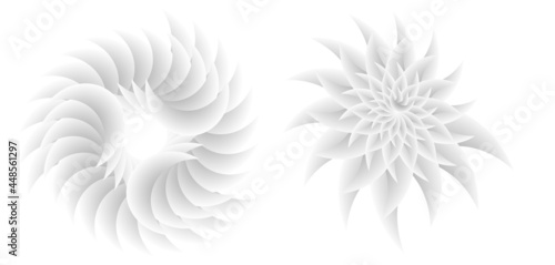 Abstract spiral tor design element on white background of twist lines. Vector Illustration eps 10 for icon beauty salon, for elegant business card,  background event party flyer, sea team, ocean shell