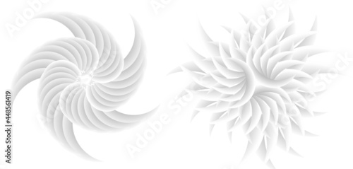 Abstract spiral tor design element on white background of twist lines. Vector Illustration eps 10 for icon beauty salon, for elegant business card,  background event party flyer, sea team, ocean shell