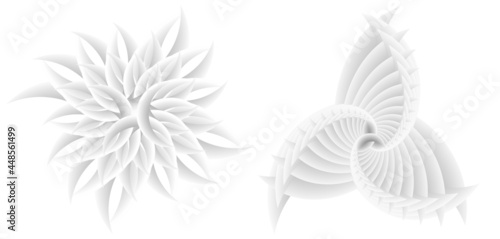 Abstract spiral tor design element on white background of twist lines. Vector Illustration eps 10 for icon beauty salon, for elegant business card,  background event party flyer, sea team, ocean shell