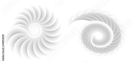 Abstract spiral tor design element on white background of twist lines. Vector Illustration eps 10 for icon beauty salon, for elegant business card,  background event party flyer, sea team, ocean shell