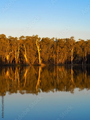 Narrandera billabong, New South Wales, Australia photo