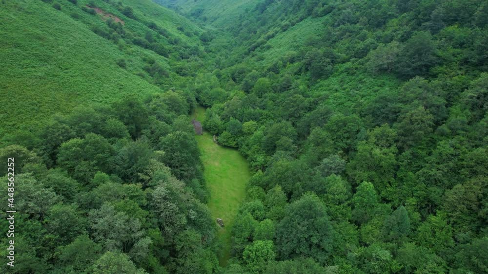 Spring landscape of country huts and mowing meadows in Viaña in the municipality of Vega de Pas. Valles Pasiegos, Cantabria, Spain, Europe
