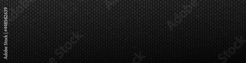 Black tips of sharp scales background