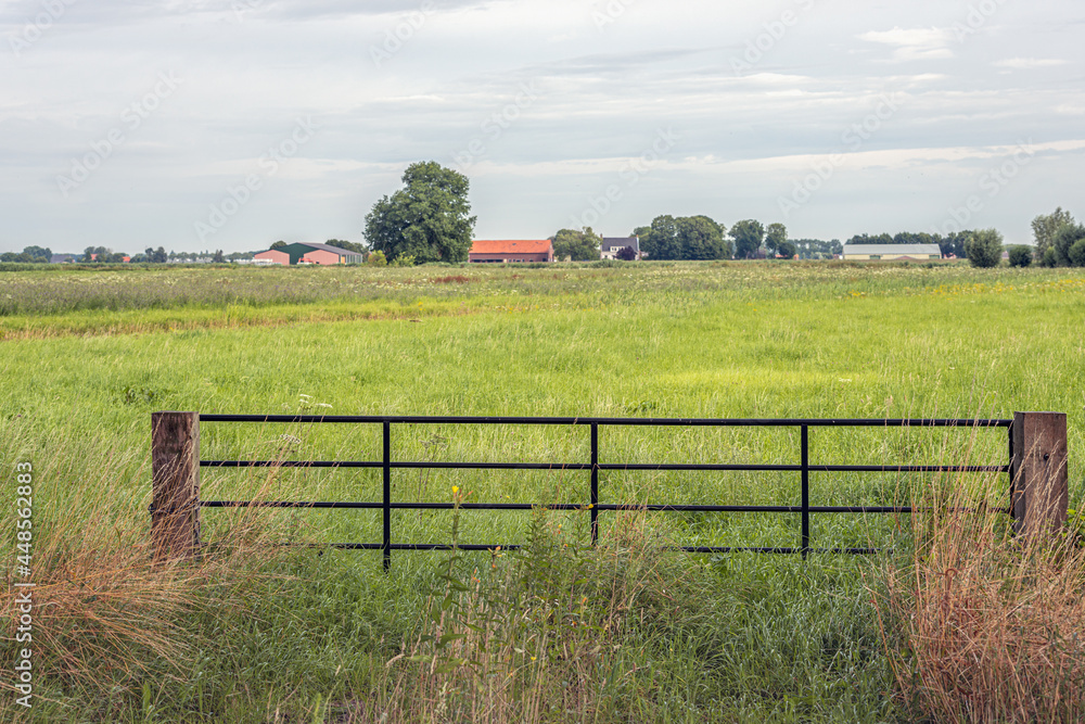 Obraz premium Black painted iron gate between two wooden beams in the foreground of a Dutch nature reserve with mainly grass and other wild plants. Farms are visible in the background.