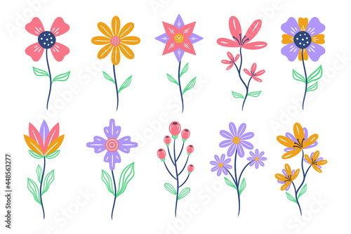 Set of floral elements. Flower and leaves