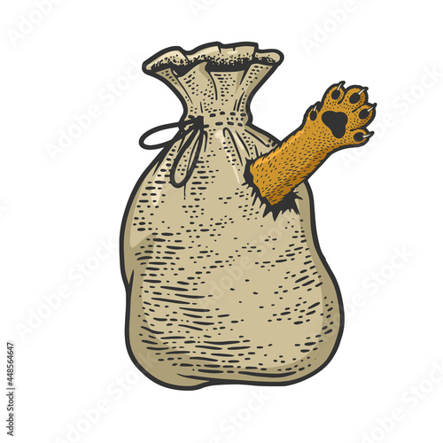 Cat in sack bag poke color sketch engraving vector illustration. T-shirt apparel print design. Scratch board imitation. Black and white hand drawn image.