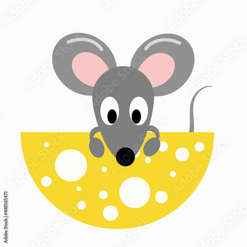 gray mouse with a large slice of delicious cheese